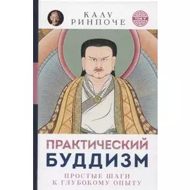 Практический буддизм. Простые шаги к глубокому опыту