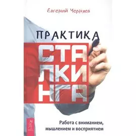 Практика сталкинга. Работа с вниманием, мышлением и восприятием