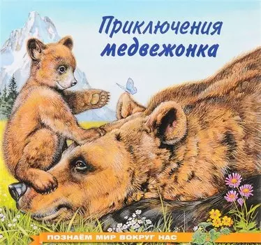 Приключения медвежонка