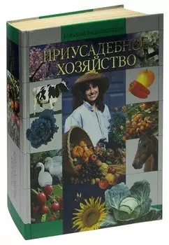 Приусадебное хозяйство