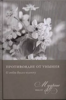 Противоядие от уныния. Из собрания священника Николая Лызлова