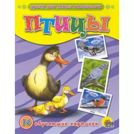Птицы