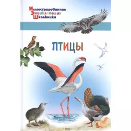 Птицы