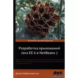 Разработка приложений Java EE 6 в NetBeans 7