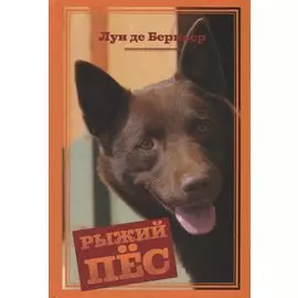 Рыжий пёс
