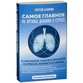 Самое главное об органах дыхания и стрессе
