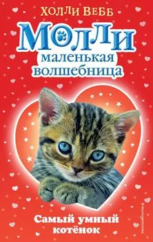 Самый умный котёнок