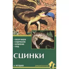 Сцинки