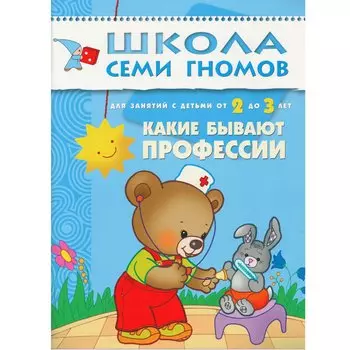 ШСГ. Третий год обучения. Какие бывают профессии.