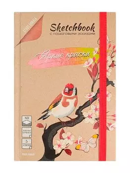Скетчбук 145*203 80л "Яркие краски" крафт бумага., тв.подложка, резинка