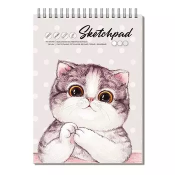 Скетчбук А5 40л "Милая кошка" белая, серая, бежевая бумага 80г/м2, тв.обложка, гребень