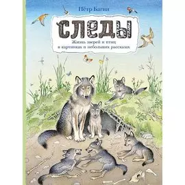 Следы