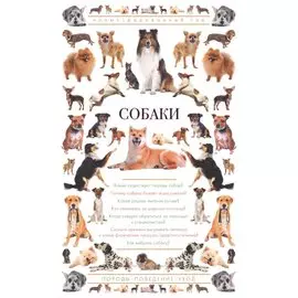 Собаки. Иллюстрированный гид