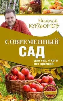 Современный сад для тех, у кого нет времени