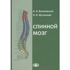 Спинной мозг: клинические и патофизиологические сопоставления. ил