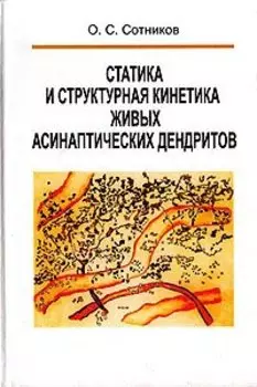 Статика и структурная кинетика живых асинаптических дендритов