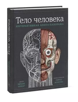 Тело человека. Интерактивная книга-панорама