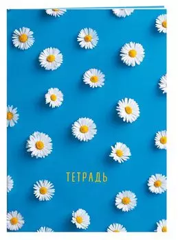Тетрадь общая «Ромашки», А5, 48 листов