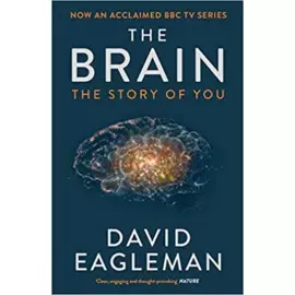 The Brain