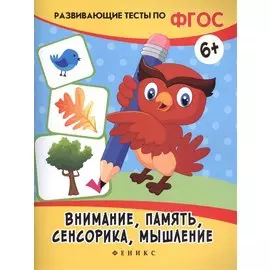 Внимание, память, сенсорика, мышление