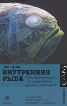 Внутренняя рыба