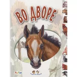 Во дворе