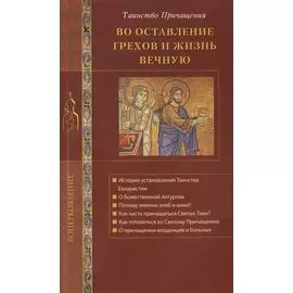 Во оставление грехов и жизнь вечную. Таинство Причащения