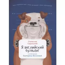 Я английский бульдог