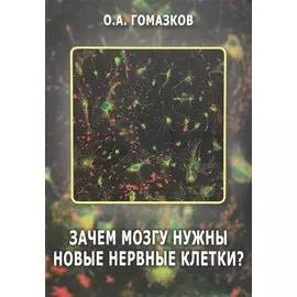 Зачем мозгу нужны новые клетки?