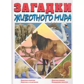 Загадки животного мира