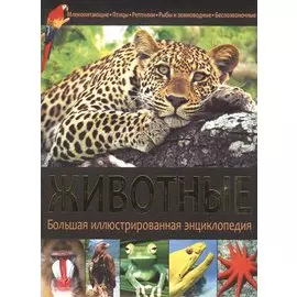 Животные