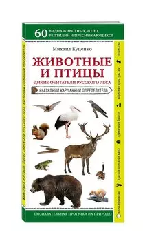 Животные и птицы. Дикие обитатели русского леса. Наглядный карманный определитель