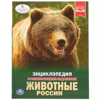 Животные россии. Энциклопедия с развивающими заданиями