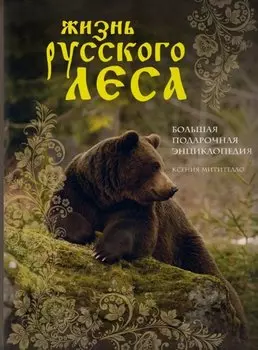 Жизнь русского леса (издание дополненное и переработанное) (медведь)