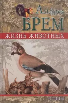 Жизнь животных. Птицы. Отряд древесные птицы