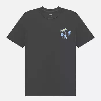 Мужская футболка RIPNDIP Ripndip Records, цвет серый, размер XXL