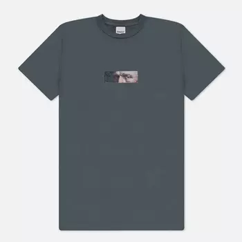 Мужская футболка RIPNDIP Van Nermal, цвет серый, размер M