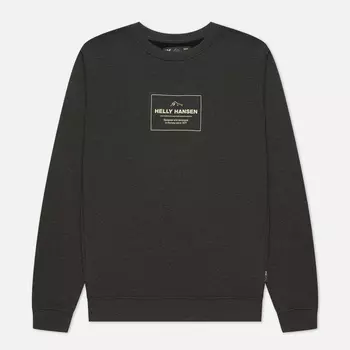 Мужская толстовка Helly Hansen