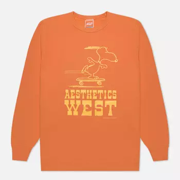 Мужская толстовка TSPTR Skate West, цвет оранжевый, размер XL