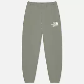 Мужские брюки The North Face Logo Plus, цвет зелёный, размер XS