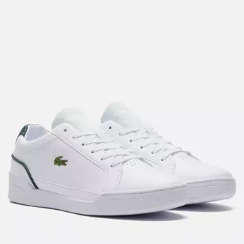 Мужские кеды Lacoste