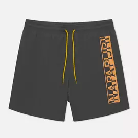 Мужские шорты Napapijri Victor Swim, цвет серый, размер XS