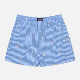 Мужские трусы Polo Ralph Lauren All Over Tennis Bear Stripe, цвет голубой, размер S