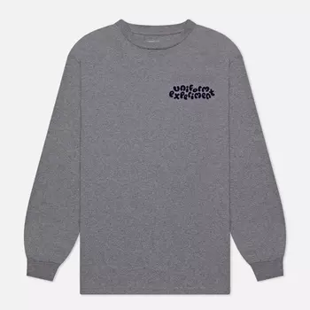Мужской лонгслив uniform experiment Insane Baggy Turtle, цвет серый, размер XL