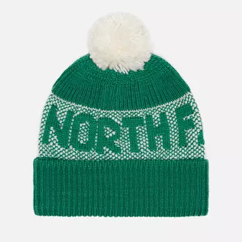 Шапка The North Face Retro Cabin, цвет зелёный