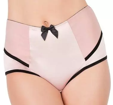 Parfait Charlotte Highwaist Brief (Dusty Rose)