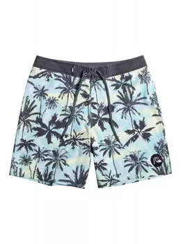 Бордшорты Surfsilk Washed 18"