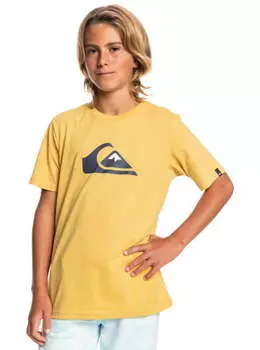 Детская Футболка Quiksilver Comp Logo Rattan