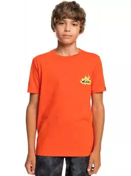 Детская Футболка Quiksilver Hells Yeah Cherry Tomato