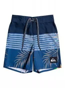Детские Бордшорты Quiksilver Everyday Division 12" 2-7